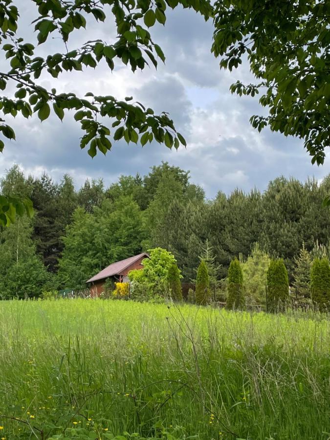 Wittowka - Domek Na Wylacznosc Z Dala Od Sasiadow Tomaszow Lubelski Luaran gambar